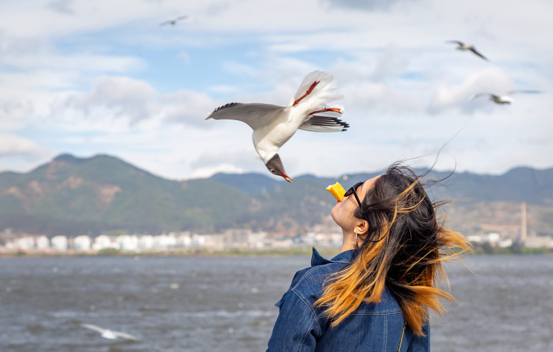 Женщина кормит чаек в Куньмине, Китай
