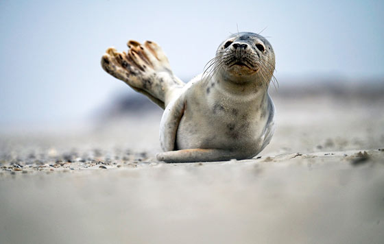 Лучшие фото недели