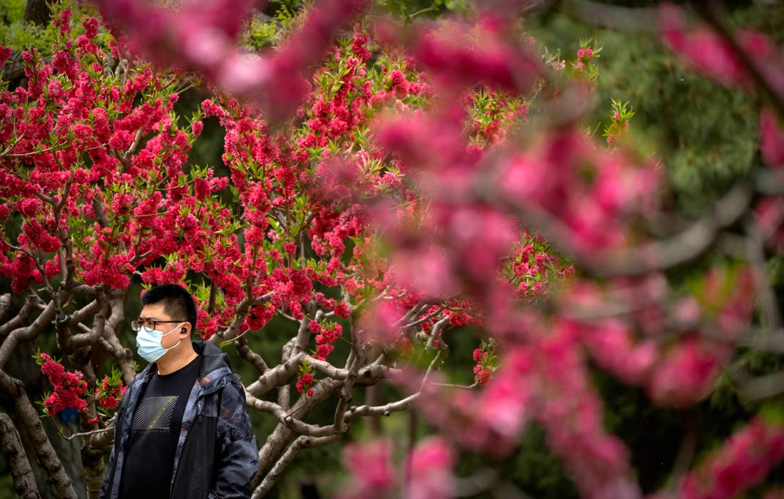 Житель Пекина гуляет в общественном парке