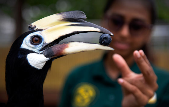 Лучшие фото недели