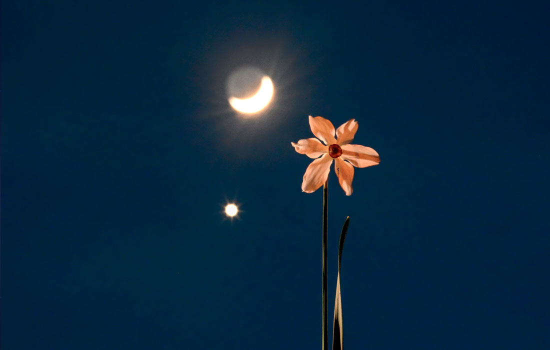 Максимальное сближение Венеры и Луны можно было наблюдать в турецком Ване