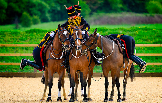 Фотохроника 25 апреля