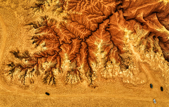 Лучшие фото недели