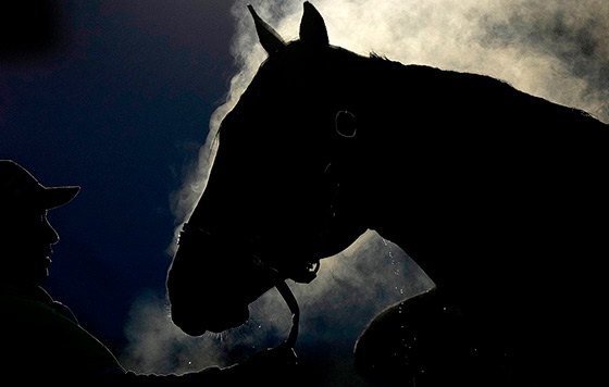 Фотохроника 5 мая