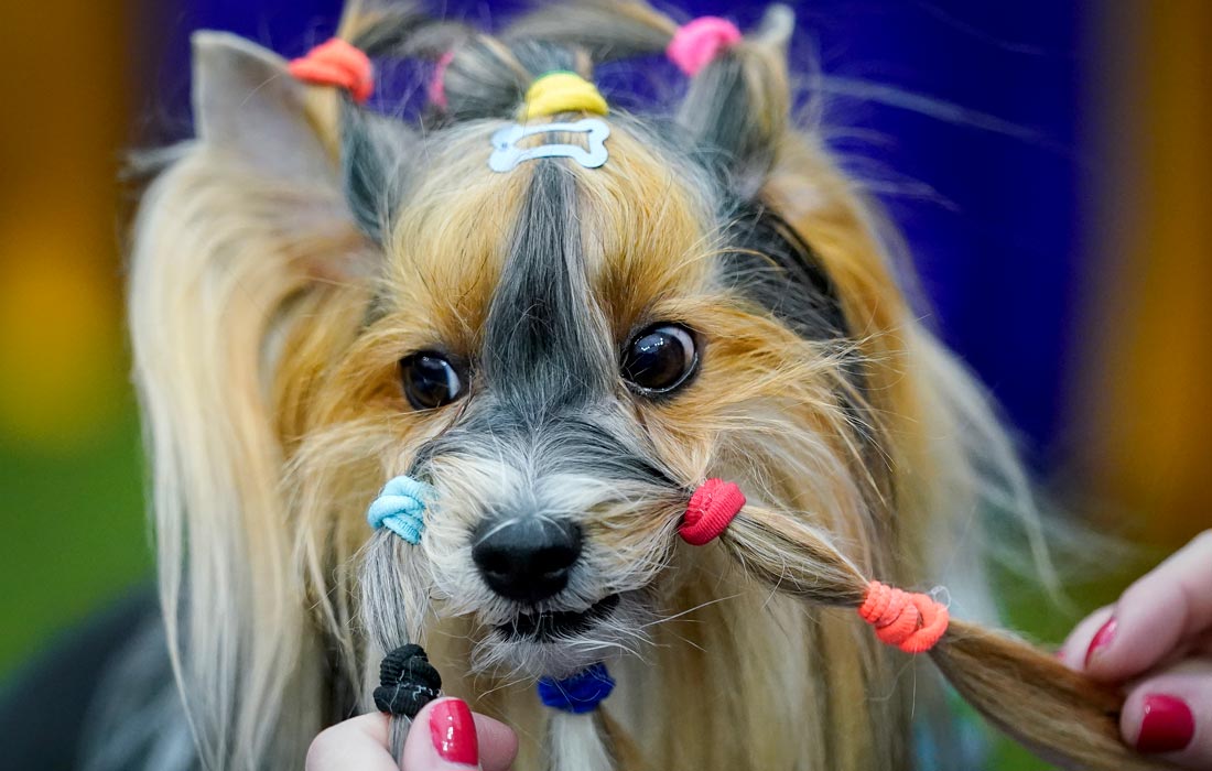 Последние приготовления перед началом показа