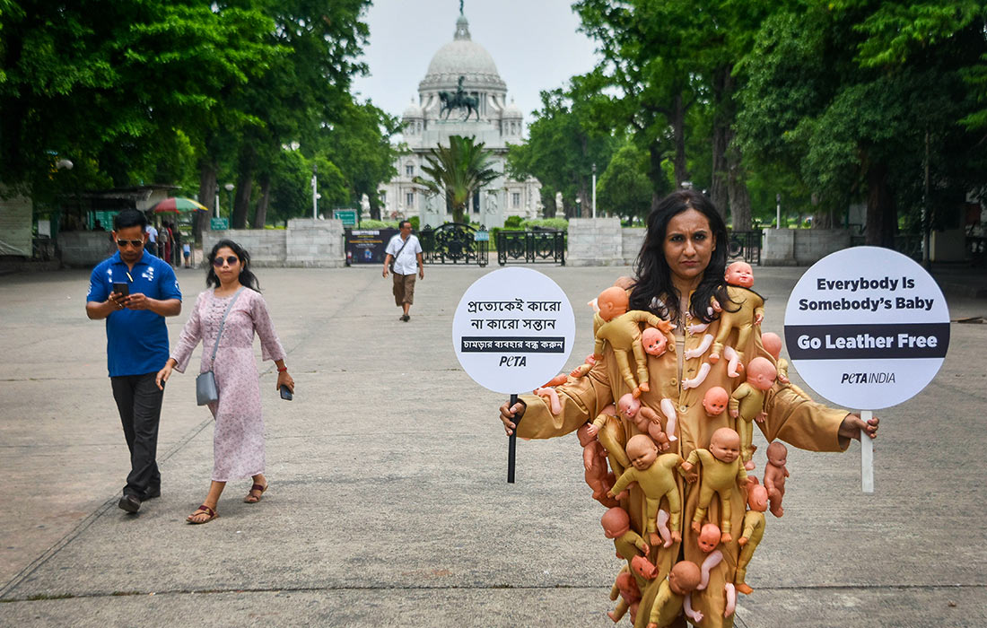 Члены организации "Люди за этичное обращение с животными" организовали акцию протеста в Калькутте, Индия