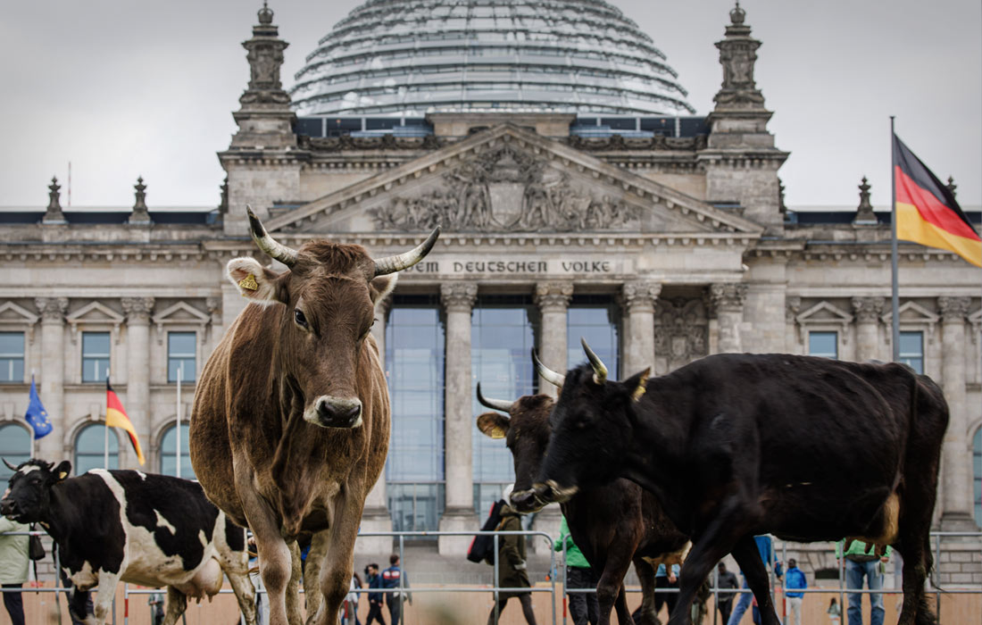 Акция Greenpeace перед зданием парламента Германии в Берлине