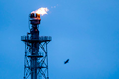 Цены на нефть снизились после уверенного роста накануне