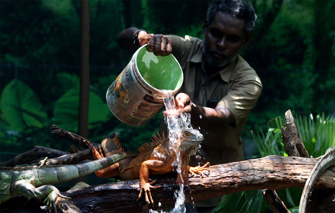 В индийском городе Ченнай стоит небывалая жара