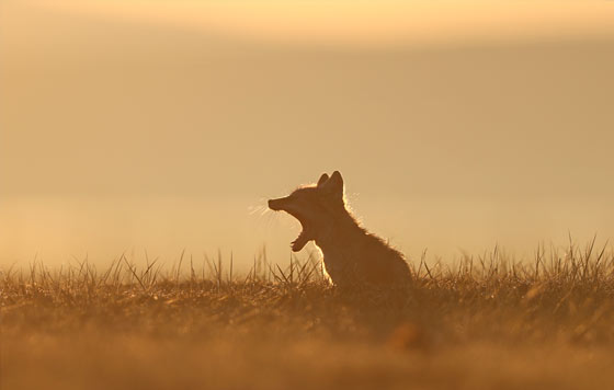 Лучшие фото недели