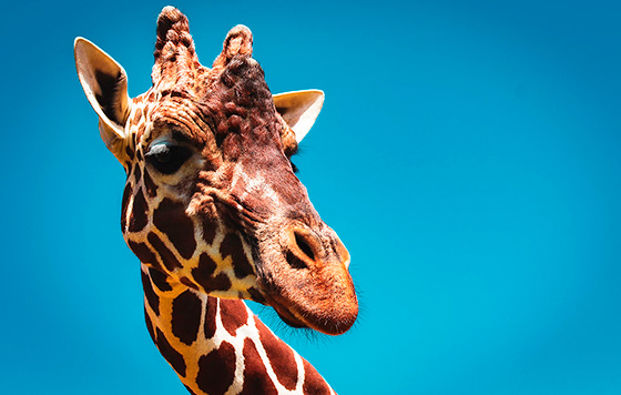 Фотохроника 14 июня