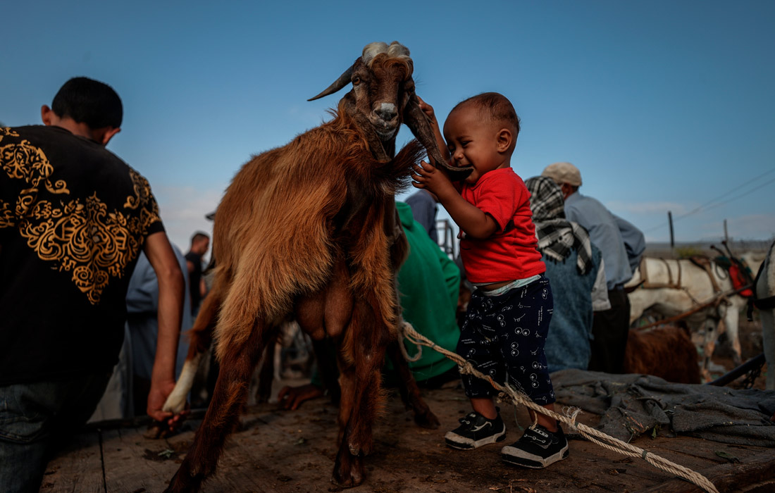 Сельскохозяйственный рынок в Хан-Юнисе (сектор Газа)