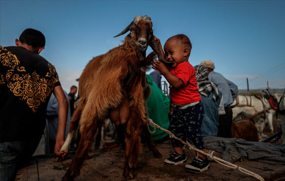 Фотохроника 21 июня