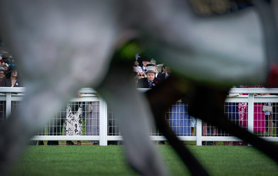 Королевские скачки Royal Ascot