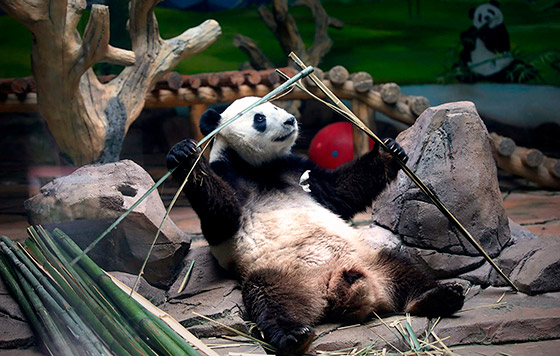 Фотохроника 28 июня