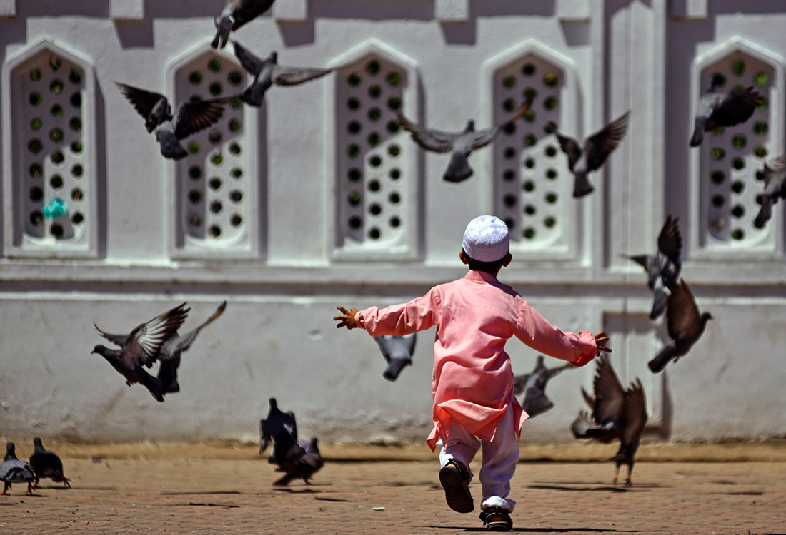 Мальчик гоняет. Литье мальчик с голубями. Курбан-байрам 2023. Голубь путешественник фото. Дети гоняют голубей.