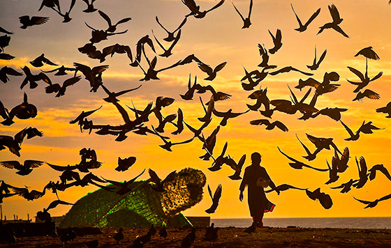 Фотохроника 30 июня