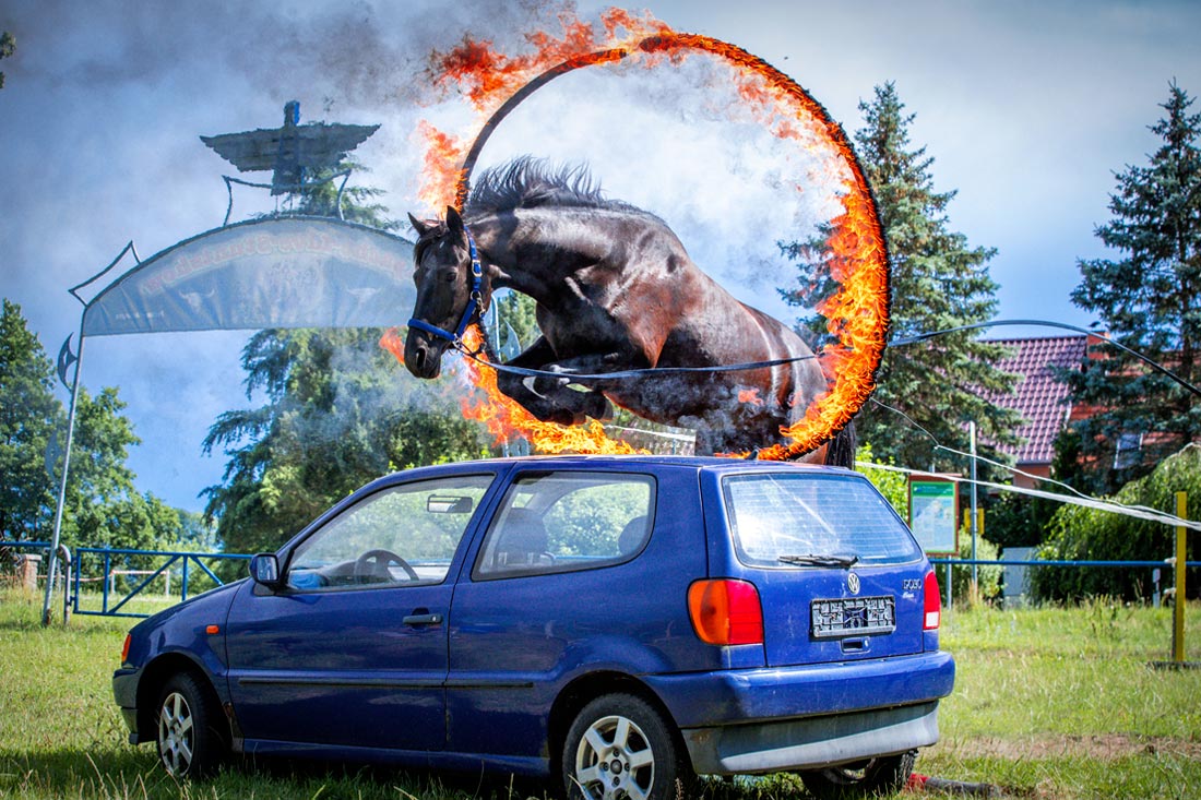 Жыныстық бейнелерді жүктеп алыңыз