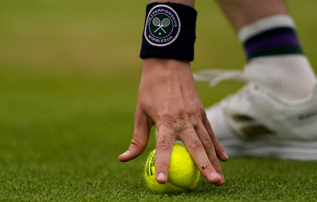 Матчи турнира проводятся на травяном покрытии