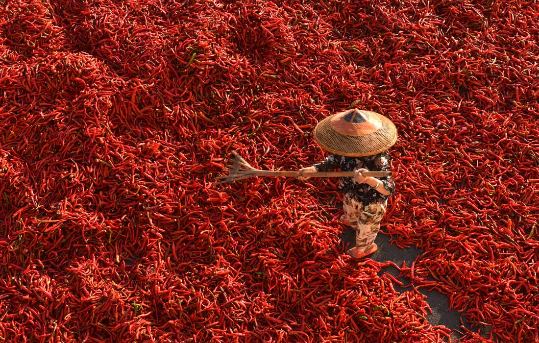 Сушка красного перца в китайском Хунане