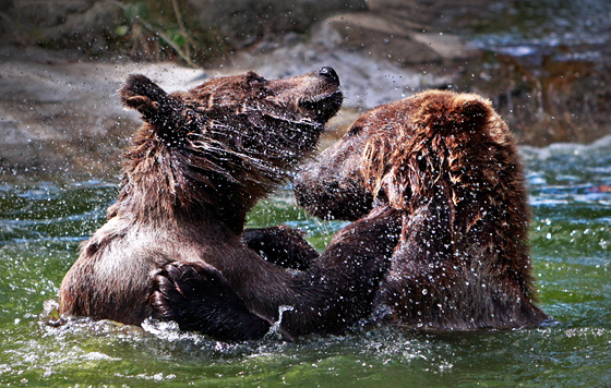 Фотохроника 17 июля