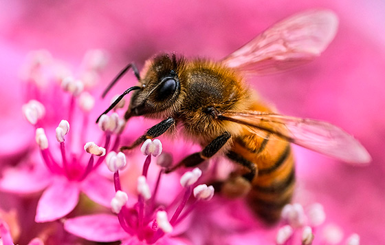 Фотохроника 18 июля