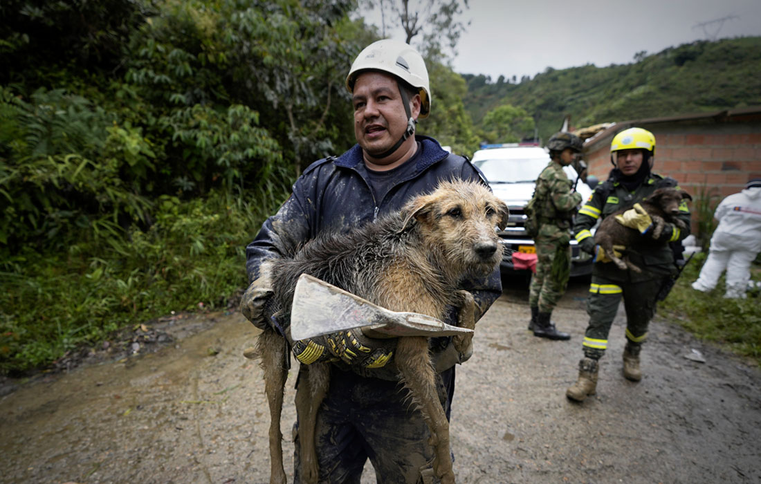 По меньшей мере 14 человек погибли в Колумбии в результате схода оползня