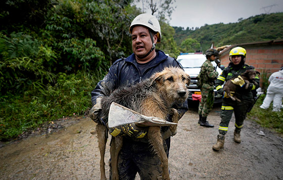 Фотохроника 19 июля