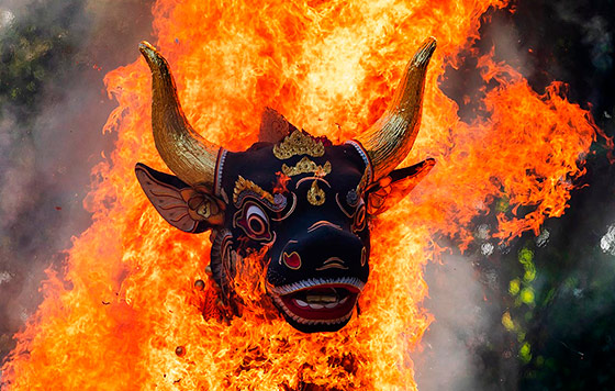 Фотохроника 24 июля