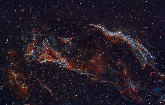 Фотохроника 22 августа