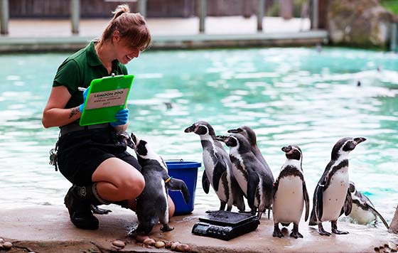 Фотохроника 24 августа