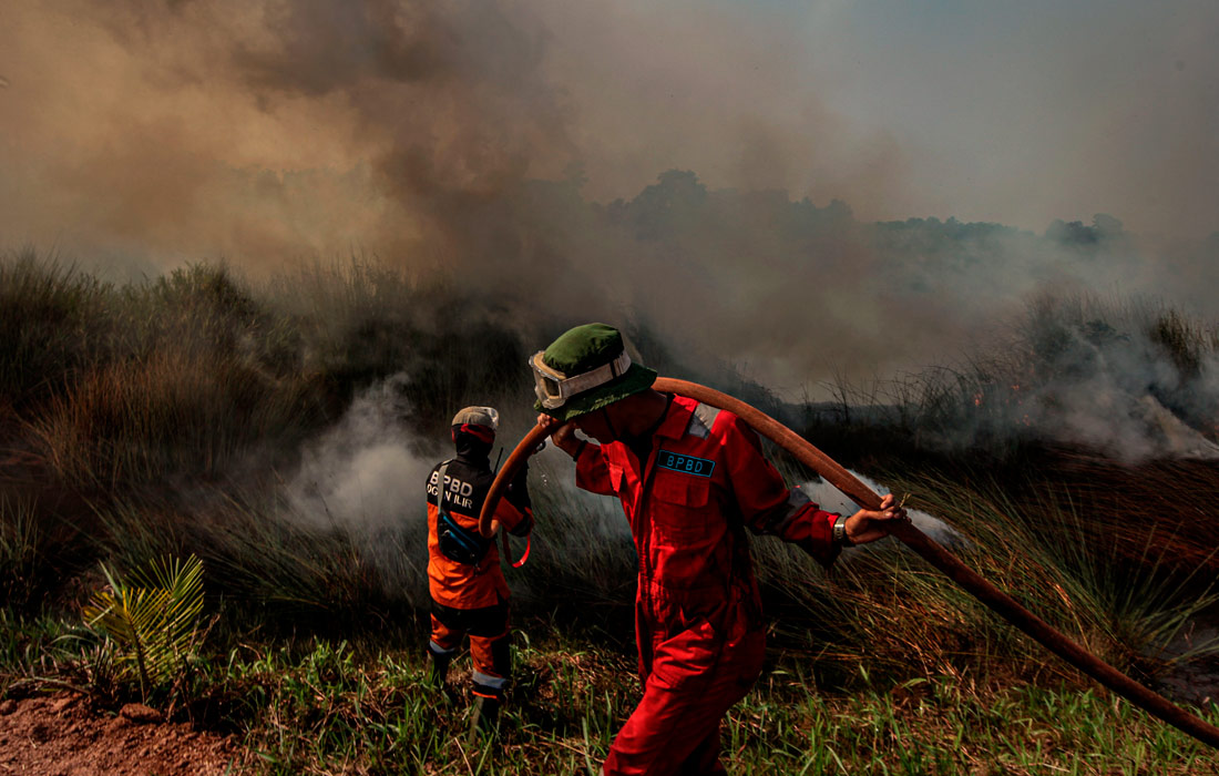 На острове Суматра в Индонезии продолжаются лесные пожары
