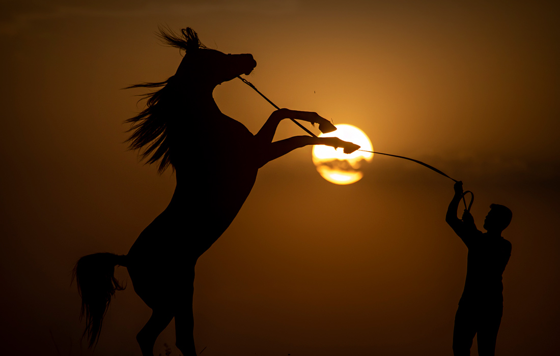 Закат в Эрбиле, Ирак