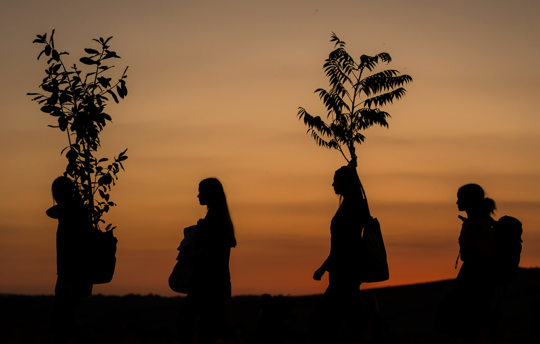 Репетиция театральной постановки "Гнездо" в природном парке Сент-Эйдан в Западном Йоркшире, Англия
