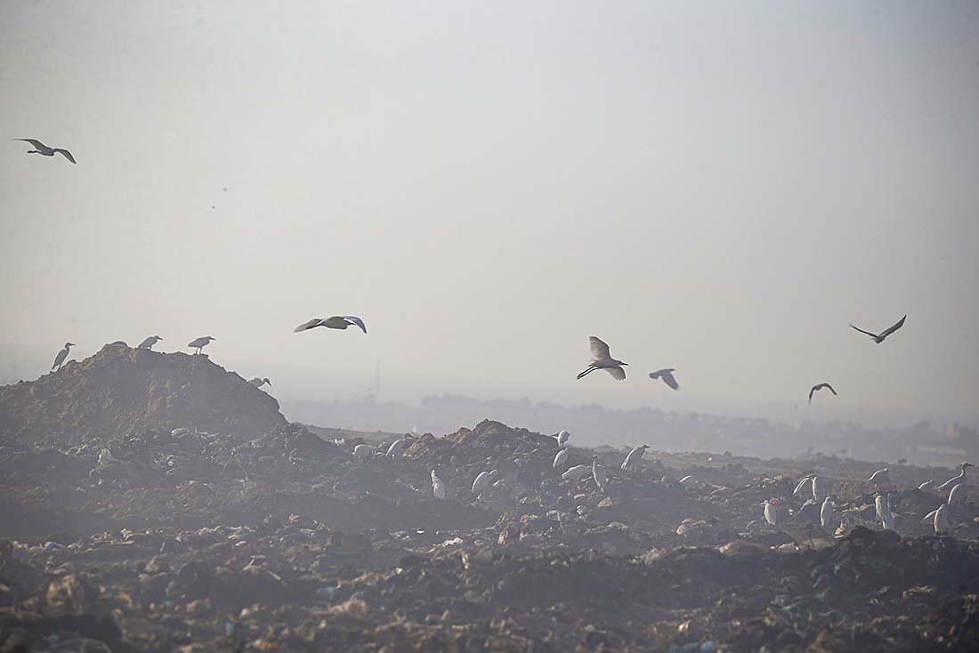 Газа запросила помощь в тушении продолжающегося несколько дней пожара на свалке