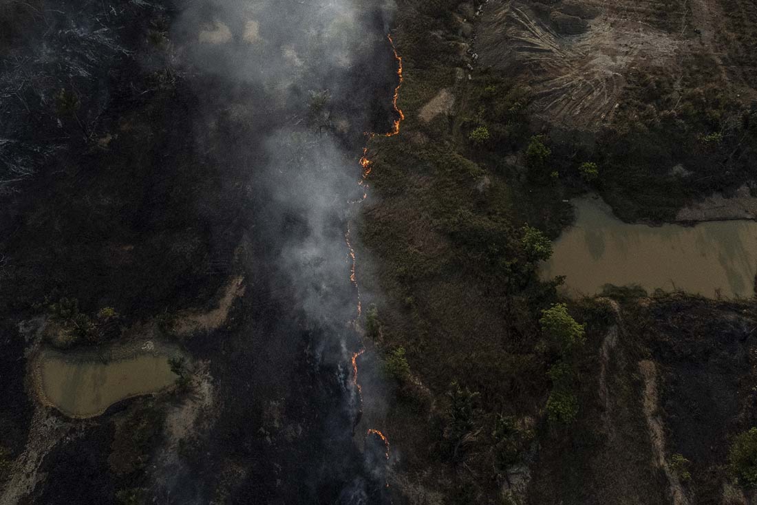 Вырубка лесов в бразильской Амазонке сократилась на 66% в августе по сравнению с тем же месяцем прошлого года.