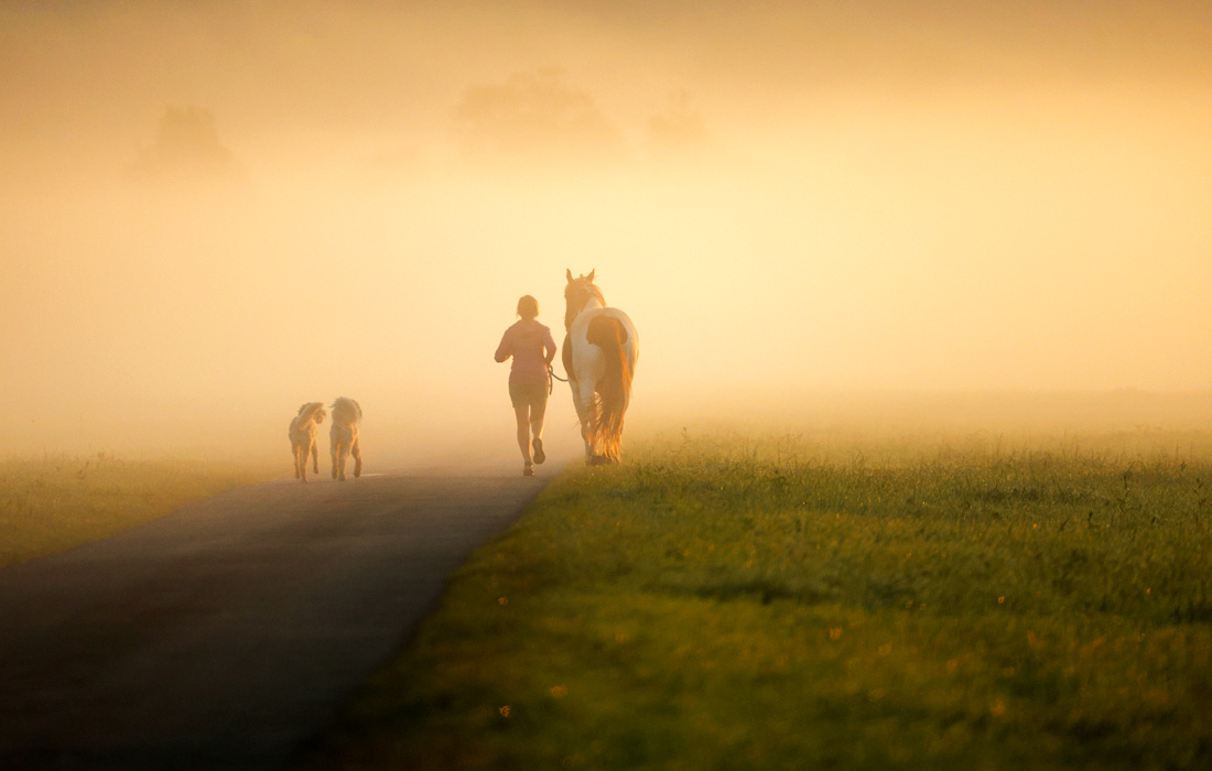 Туманное утро на юго-западе Германии