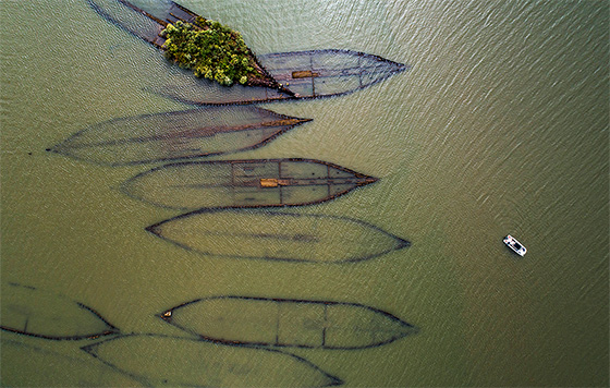 Лучшие фото недели