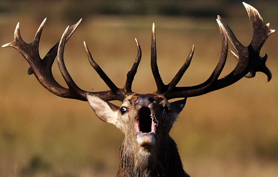 Фотохроника 10 октября