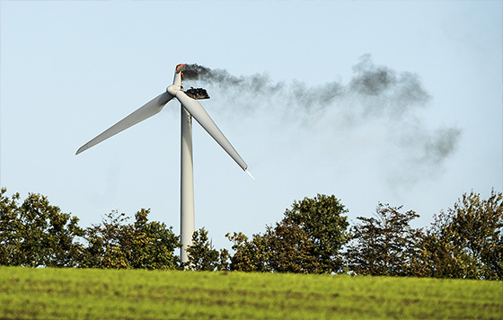 Фотохроника 11 октября