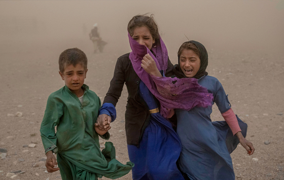 Фотохроника 13 октября