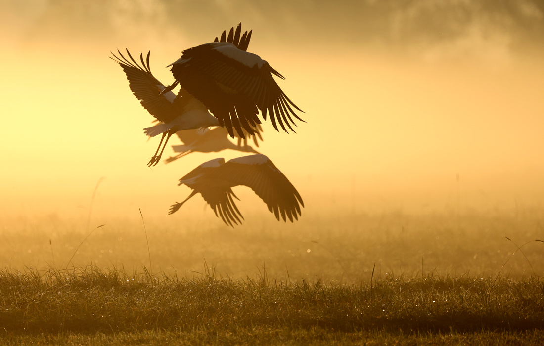 Рассвет в Германии