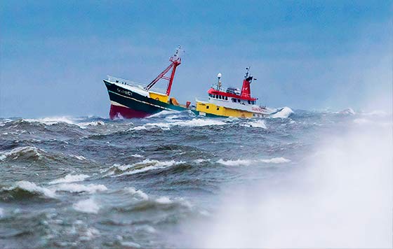 Фотохроника 20 октября