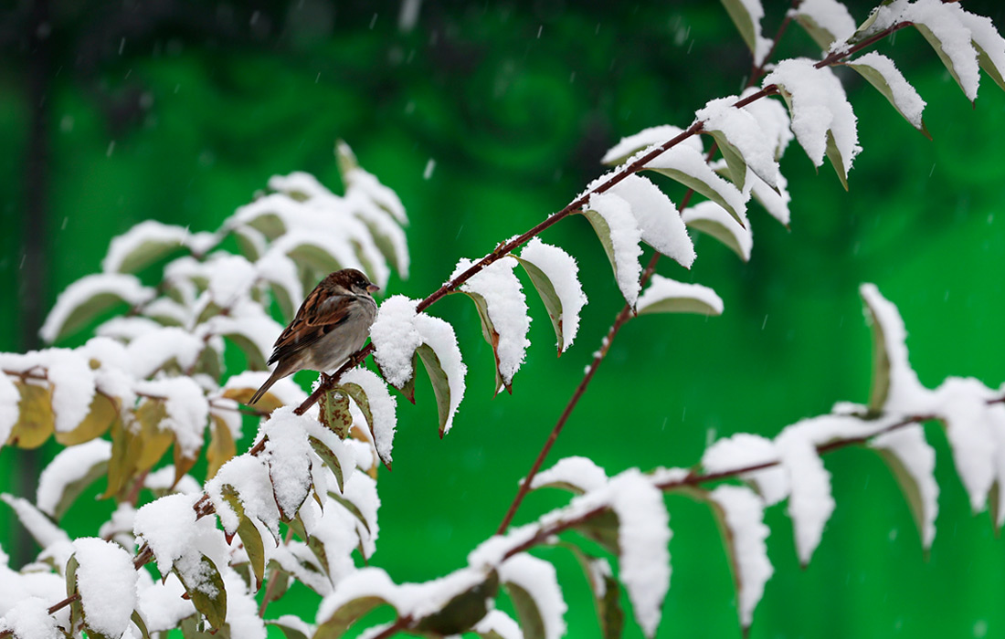 Екатеринбург