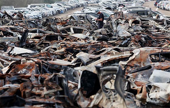 Фотохроника 31 октября