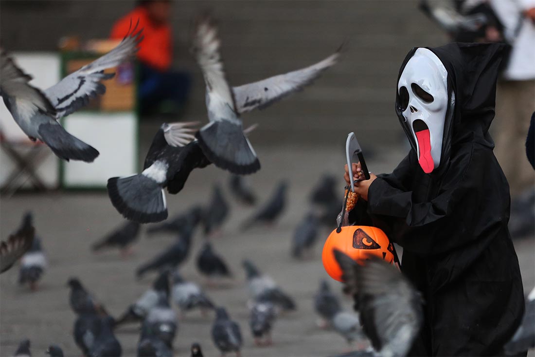 В Боливии отдают предпочтение нестареющей хэллоуин-классике