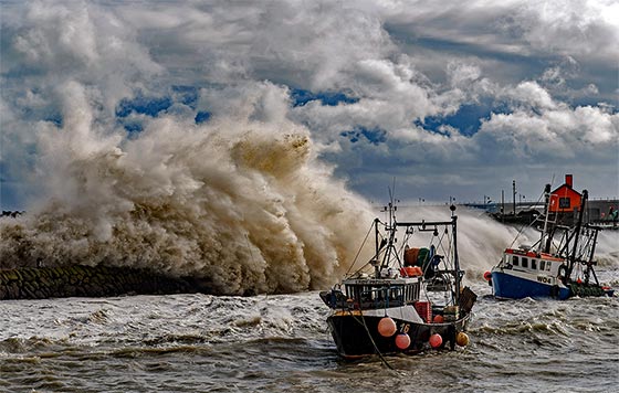 Лучшие фото недели