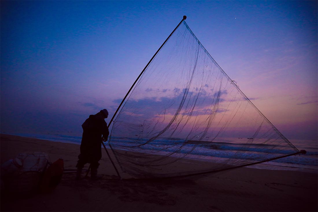 Ловля креветок на сваях в китайской провинции Шаньдун