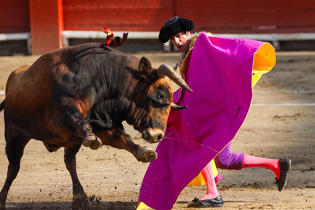 В Перу опять мучают быков