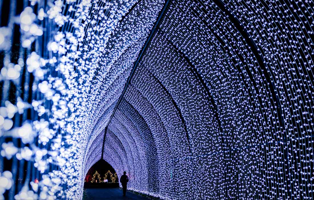 В Королевских ботанических садах Кью на юго-западе Лондона стартовал ежегодный рождественский фестиваль света